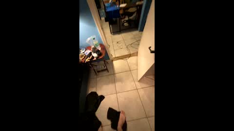 BIGDICKJOHNNY online show from December 28, 12:57 am