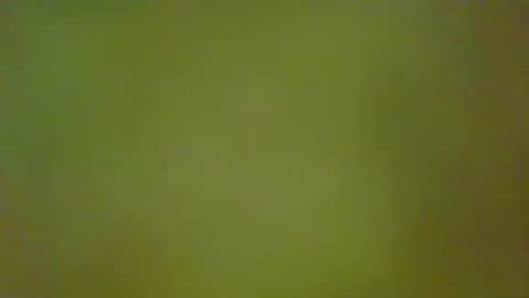 McKeefer online show from February 17, 3:44 pm