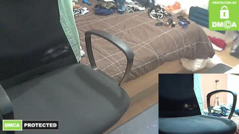 Tonio online show from February 18, 1:22 pm