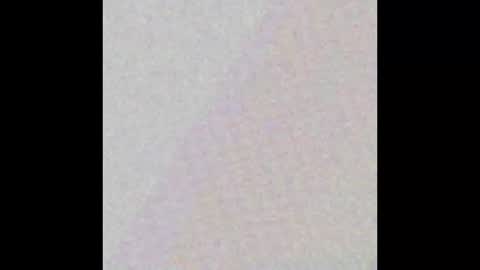 k9cat online show from March 7, 8:09 pm