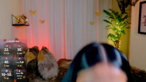 Kaaiiri online show from February 25, 8:40 am