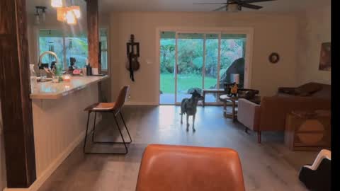 Kailee Smile online show from March 21, 4:29 am