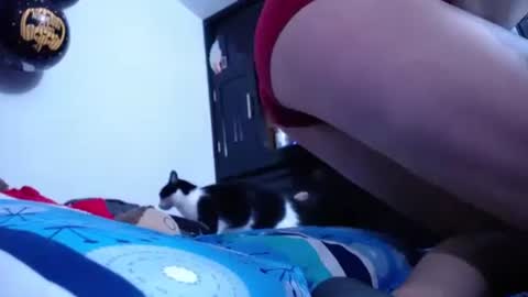 kaira111 online show from October 19, 3:00 am