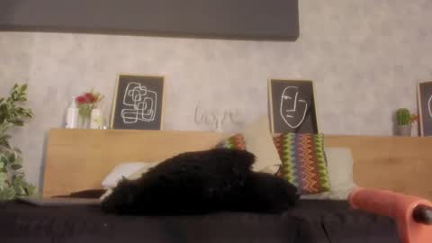 Kari online show from March 6, 12:04 pm