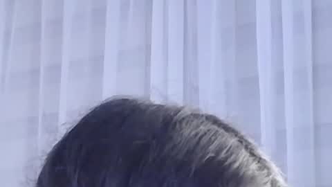 Help me with rate thanks  online show from October 28, 5:30 am