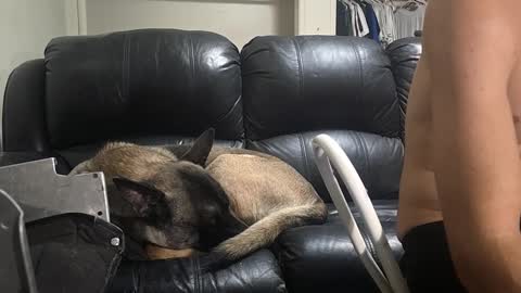 Dexter online show from February 16, 11:05 am