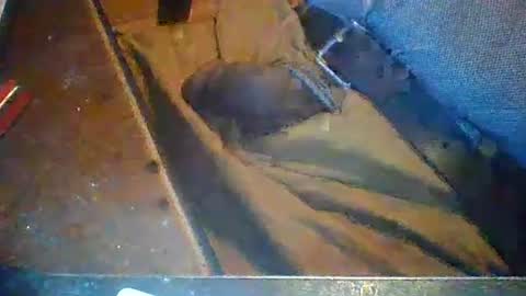 KENDREKO online show from March 1, 5:55 am