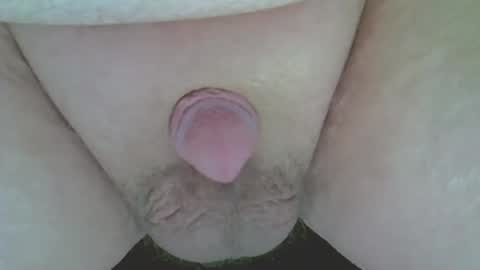 maggot online show from February 20, 11:51 pm