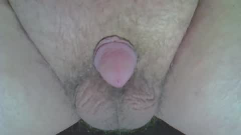 maggot online show from February 12, 12:25 am