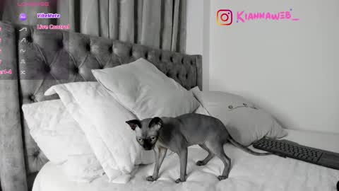 Snapshot of kiianna__ chatting on February 28, 3:48 am INSTAGRAM Kiannaweb online show from February 28, 3:48 am