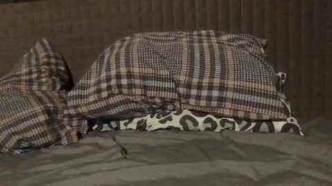 kiki3526 online show from November 23, 7:34 pm