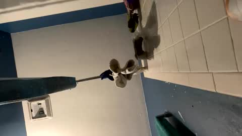 KingEcstasyXXX online show from November 27, 12:02 pm