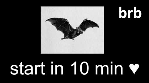 meow online show from July 31, 12:39 pm