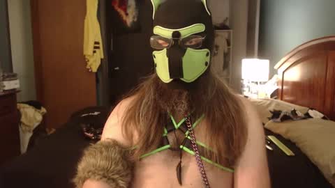 kinkywolf87 online show from October 4, 4:38 pm