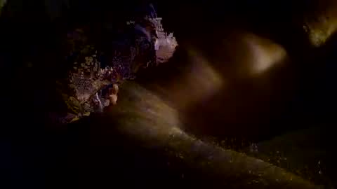 Kitkat loco online show from November 3, 9:54 am