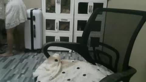 kitty_fussy online show from October 26, 7:09 am