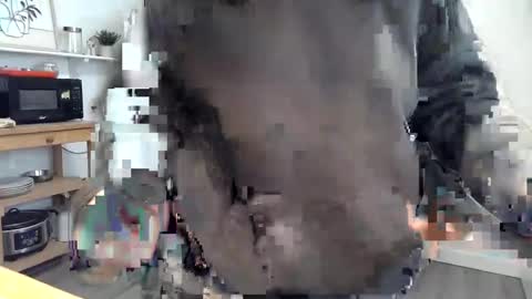 Kittyymaze online show from March 12, 3:05 pm