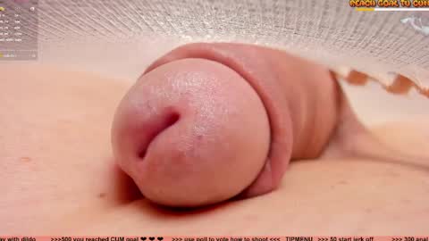 Petra online show from April 3, 9:00 pm