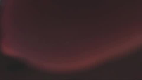 Lady  online show from December 5, 9:56 pm