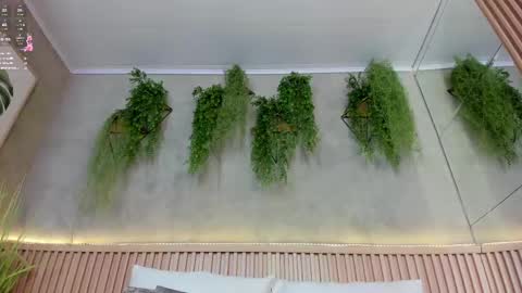 lana_lann online show from March 12, 2:56 pm