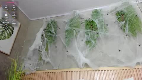 lana_lann online show from October 19, 12:10 pm