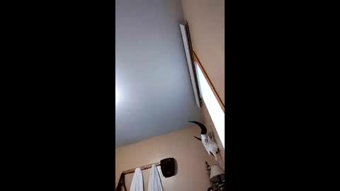 langederek2 online show from February 20, 8:55 pm