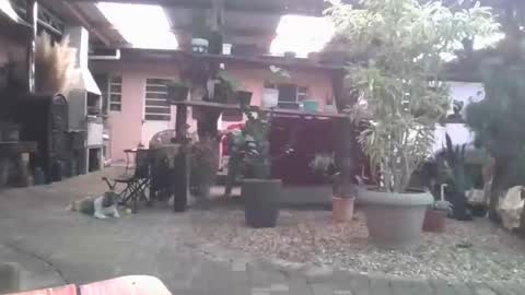 kelly online show from March 18, 6:25 pm