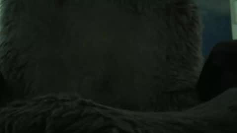 leckfreund53 online show from October 7, 9:38 am