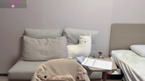 leele07 online show from September 16, 8:39 am