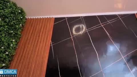 Leidy online show from March 28, 1:45 pm