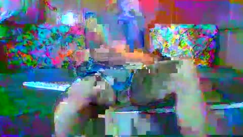 SEX  MASTER online show from January 13, 2:41 am