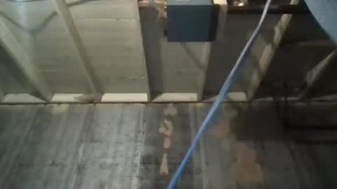 leo199984 online show from November 2, 3:39 am