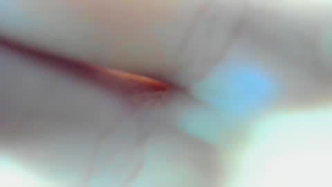 Tony and Leo online show from February 21, 11:10 pm