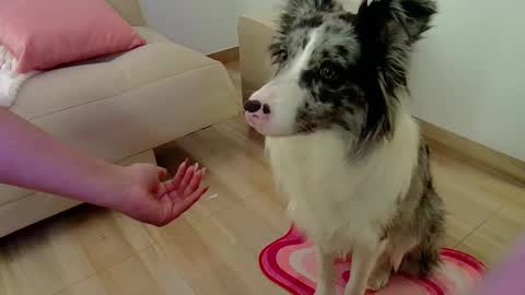 Lia  online show from February 14, 6:43 pm