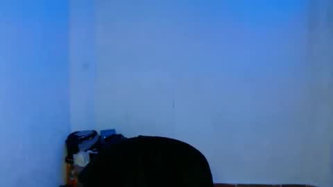 Snapshot of lia_vc chatting on December 22, 4:50 am lia_vc online show from December 22, 4:50 am