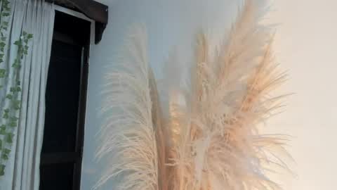 Lia online show from April 16, 3:28 am