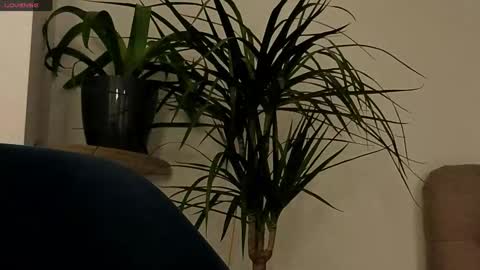 likavibe online show from September 24, 6:14 pm