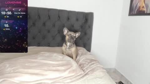 Lilith Parker online show from February 9, 4:14 am