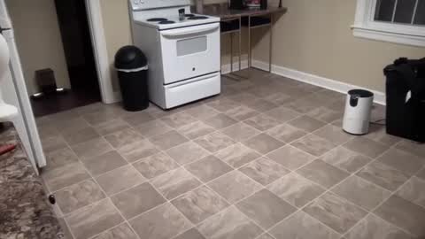 lilly_adams88 online show from February 21, 1:00 am