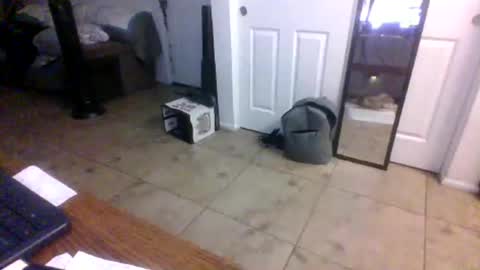 lilpackage69 online show from November 6, 3:53 am