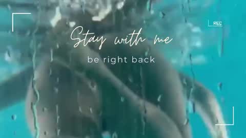 Lily online show from October 22, 7:11 am