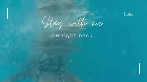 Lily online show from September 22, 5:44 am