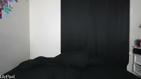 Snapshot of lilypixel chatting on January 13, 2:07 am Liliana Marie Pixelate online show from January 13, 2:07 am