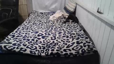 Smith666 online show from December 4, 6:24 am