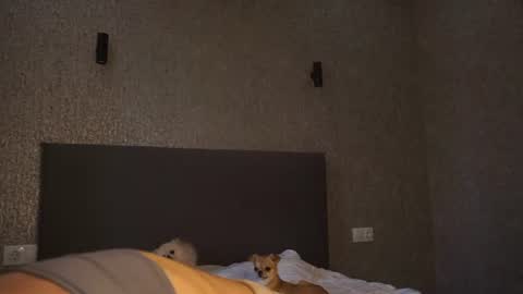 Linda online show from June 26, 1:49 pm
