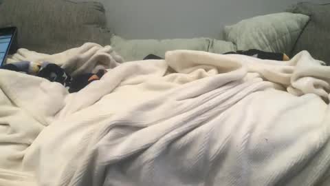 lingeriesissy12 online show from February 13, 11:04 pm