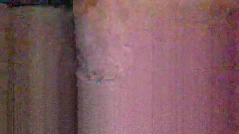 lipinhofortal online show from November 29, 1:35 am