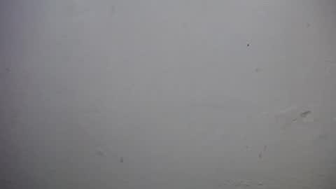 lisa_branch online show from January 16, 11:41 am