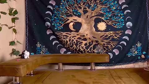 Sofia online show from January 29, 8:35 pm