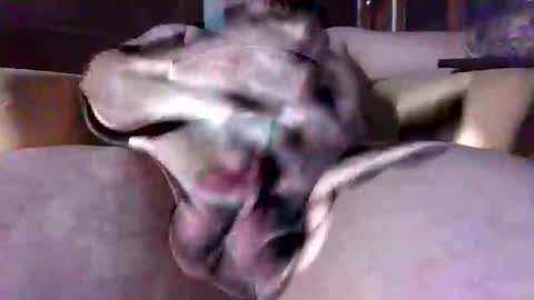 litwinpaweel online show from February 14, 10:01 pm